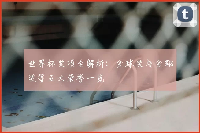 世界杯奖项全解析：金球奖与金靴奖等五大荣誉一览