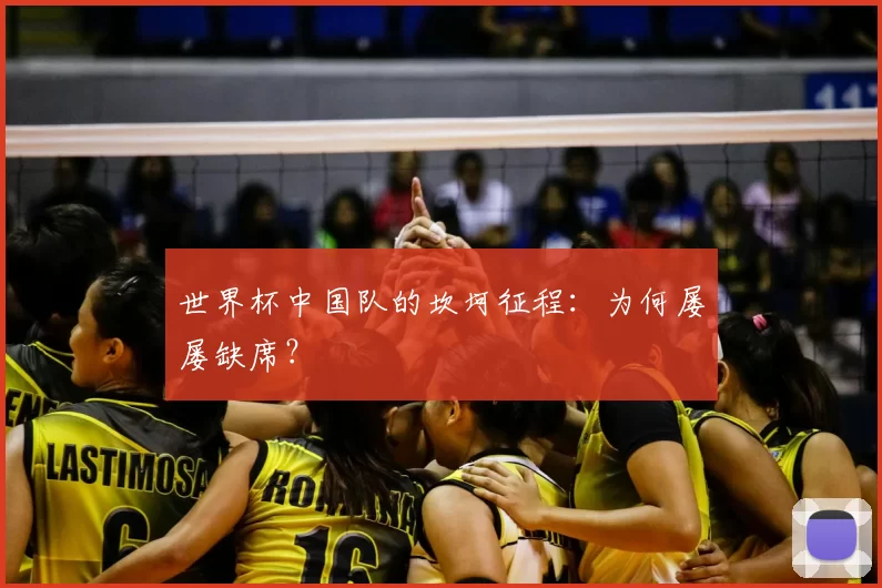 世界杯中国队的坎坷征程：为何屡屡缺席？