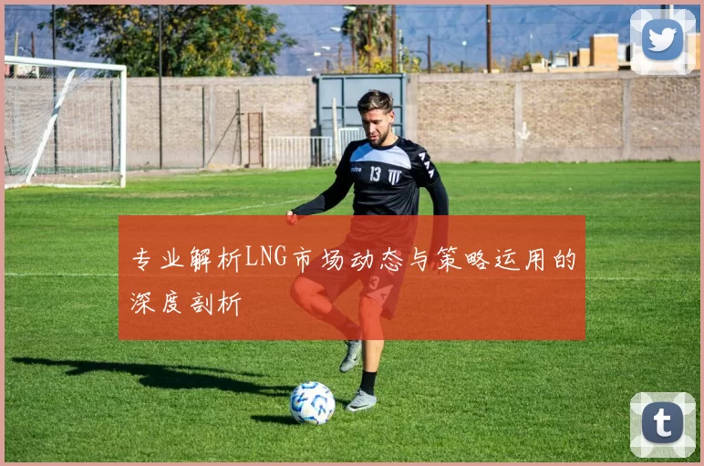 专业解析LNG市场动态与策略运用的深度剖析