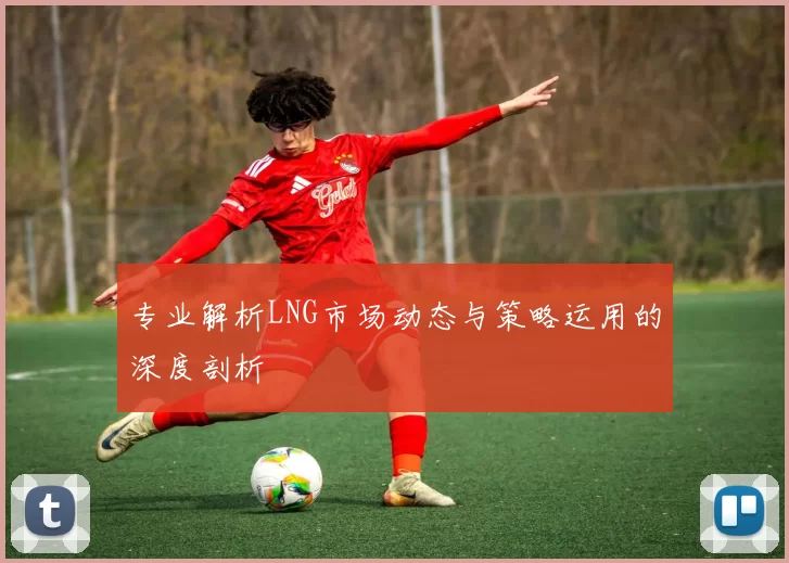 专业解析LNG市场动态与策略运用的深度剖析