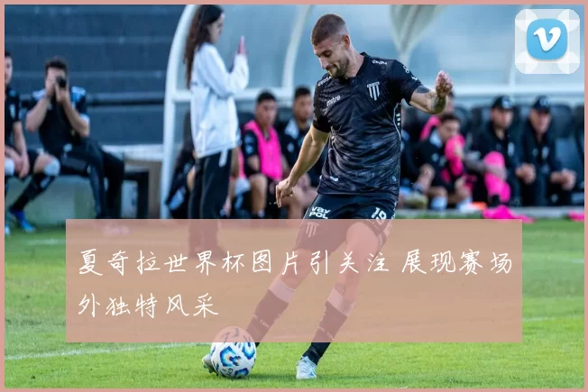 夏奇拉世界杯图片引关注 展现赛场外独特风采