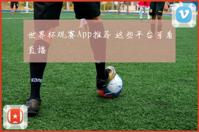 世界杯观赛App推荐 这些平台可看直播