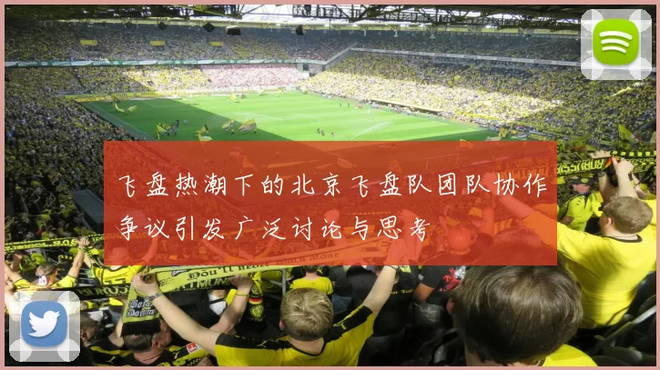 飞盘热潮下的北京飞盘队团队协作争议引发广泛讨论与思考