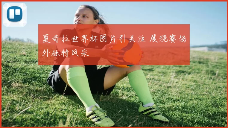 夏奇拉世界杯图片引关注 展现赛场外独特风采