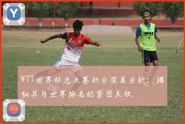 WTT世界杯总决赛积分深度分析：揭秘其与世界排名的紧密关联