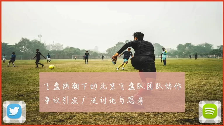 飞盘热潮下的北京飞盘队团队协作争议引发广泛讨论与思考