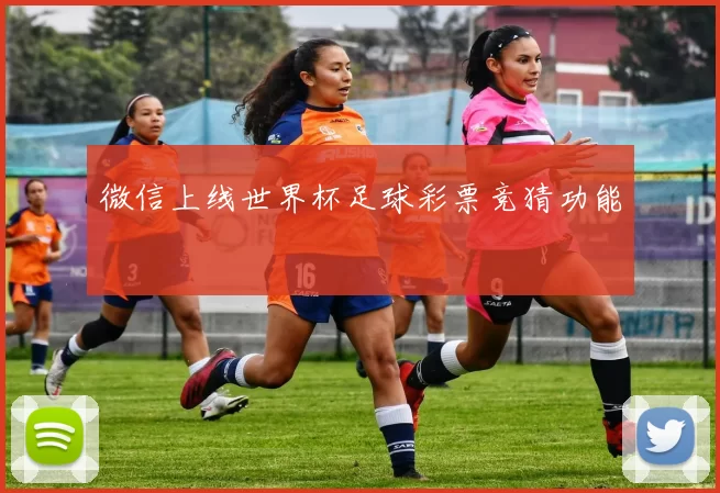 微信上线世界杯足球彩票竞猜功能