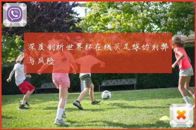 深度剖析世界杯在线买足球的利弊与风险